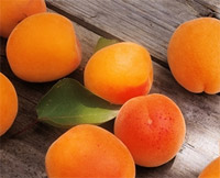 Полезные и лечебные свойства абрикосов