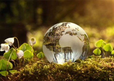 День экологических знаний